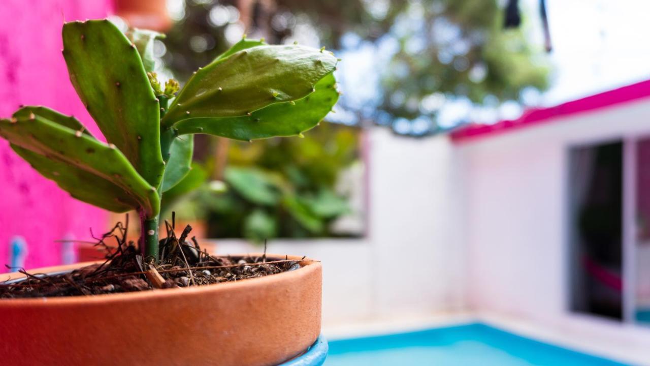 Casa Tiahui Lejlighed Cancún Eksteriør billede